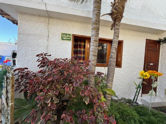 Willkommen Im Paradies - Welcome In Paradise - Bienvenidos Al Paraiso Holiday home La Matanza De Acentejo